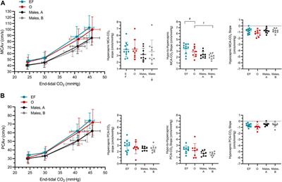 Menstrual phase influences cerebrovascular responsiveness in females but may not affect sex differences